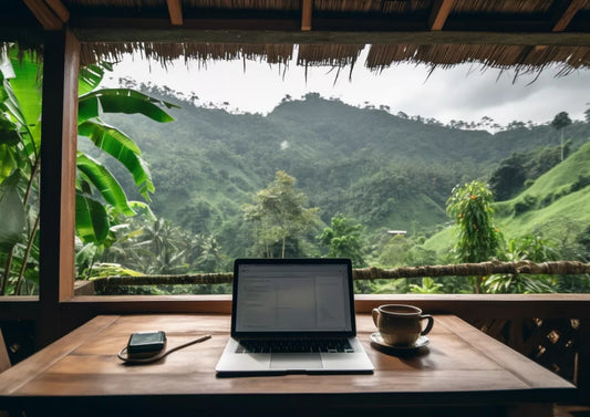 The Rise of the Digital Nomad in 2025
